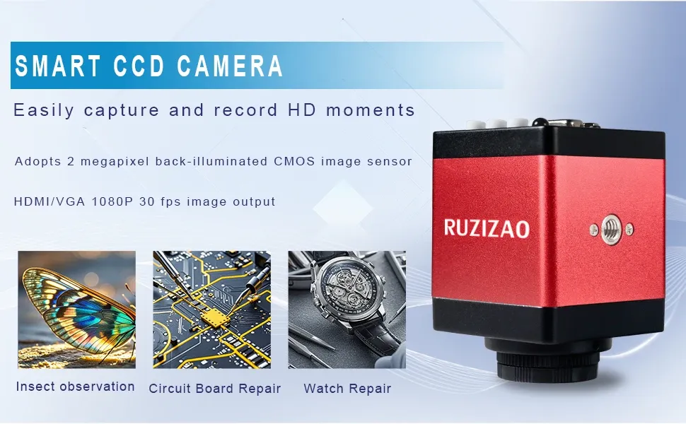 Ruziza Metal