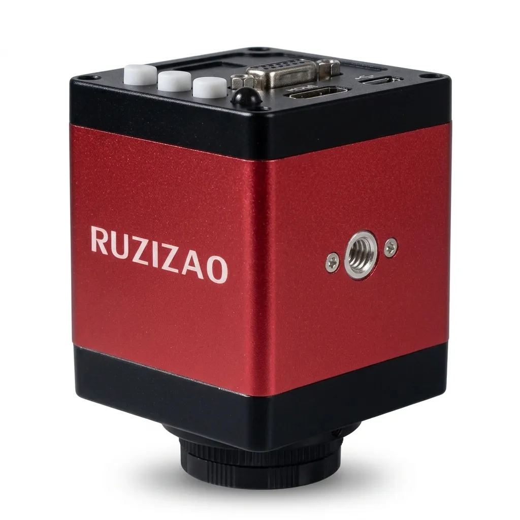 Ruziza Metal 3